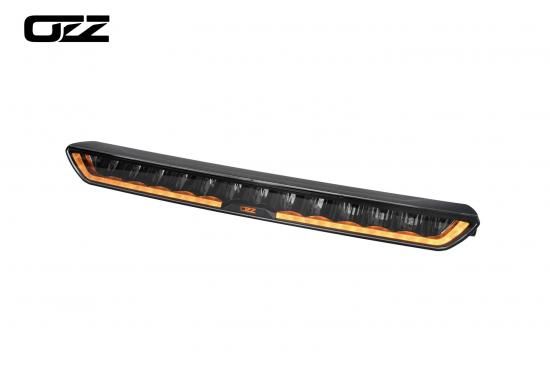 FE-786 OZZ XB1 P20 バーライト